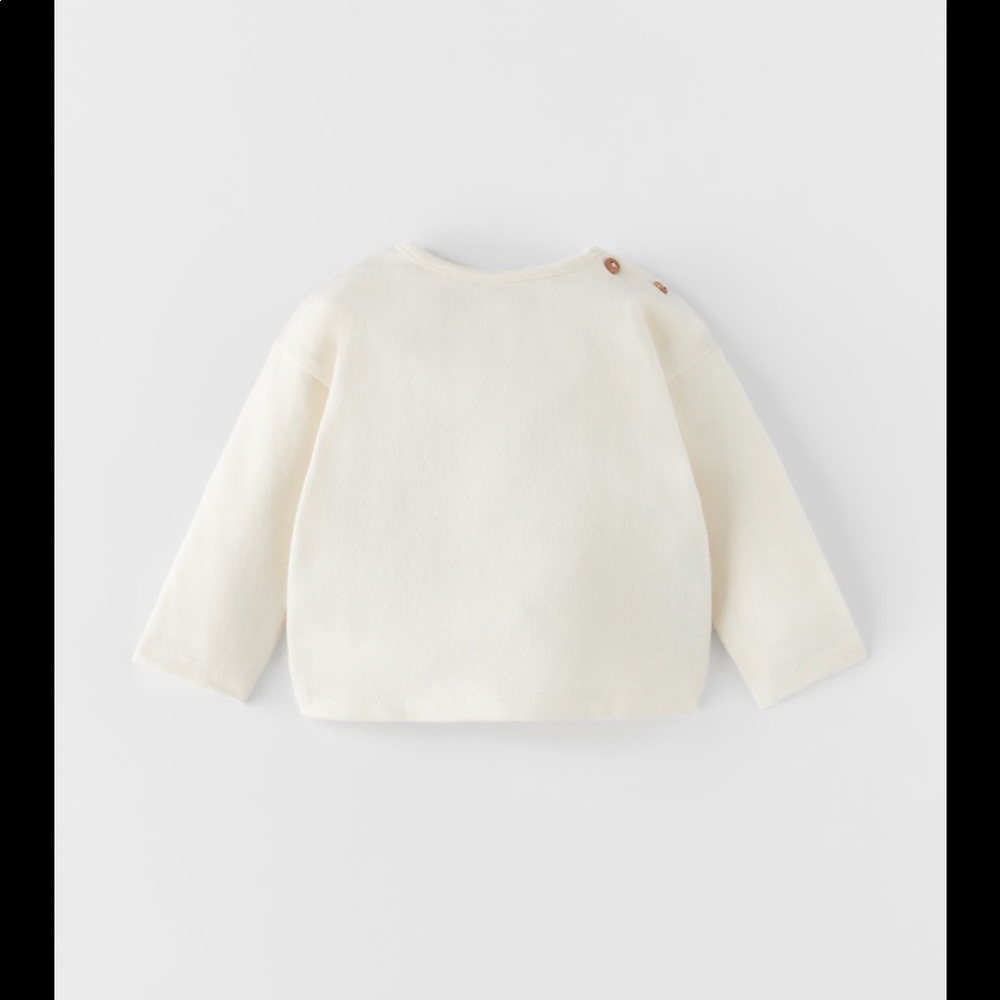Zara Knit Top